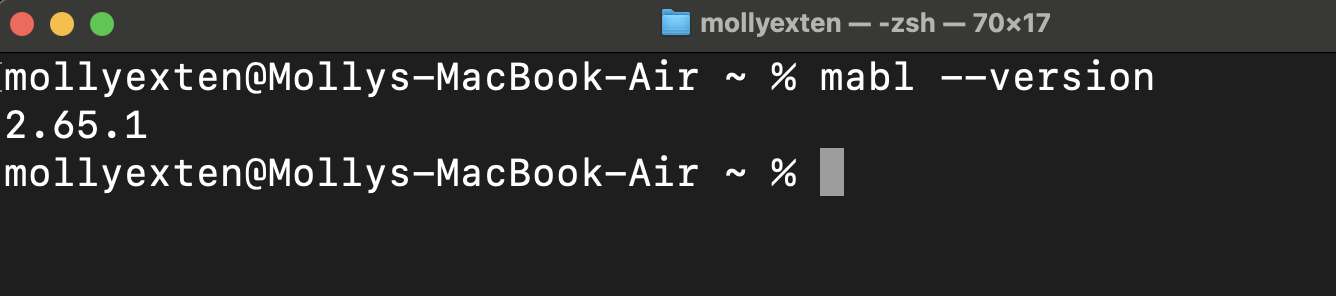 successful_cli_installation.png