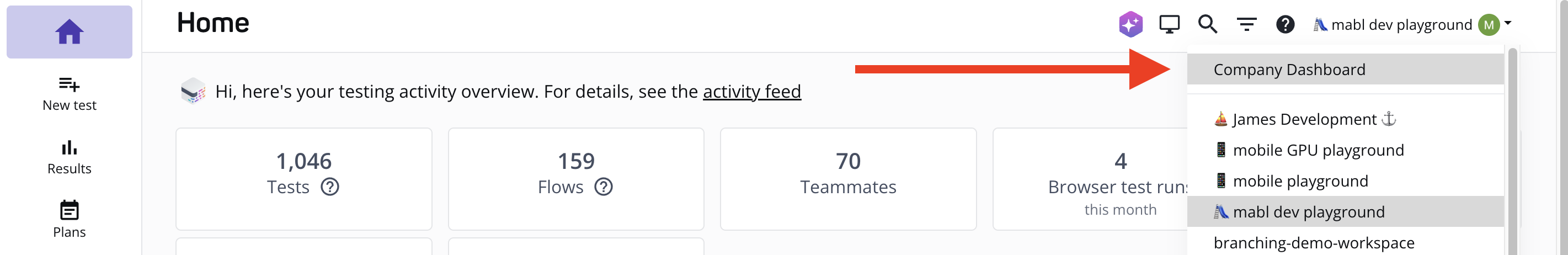 Accessing the company dashboard