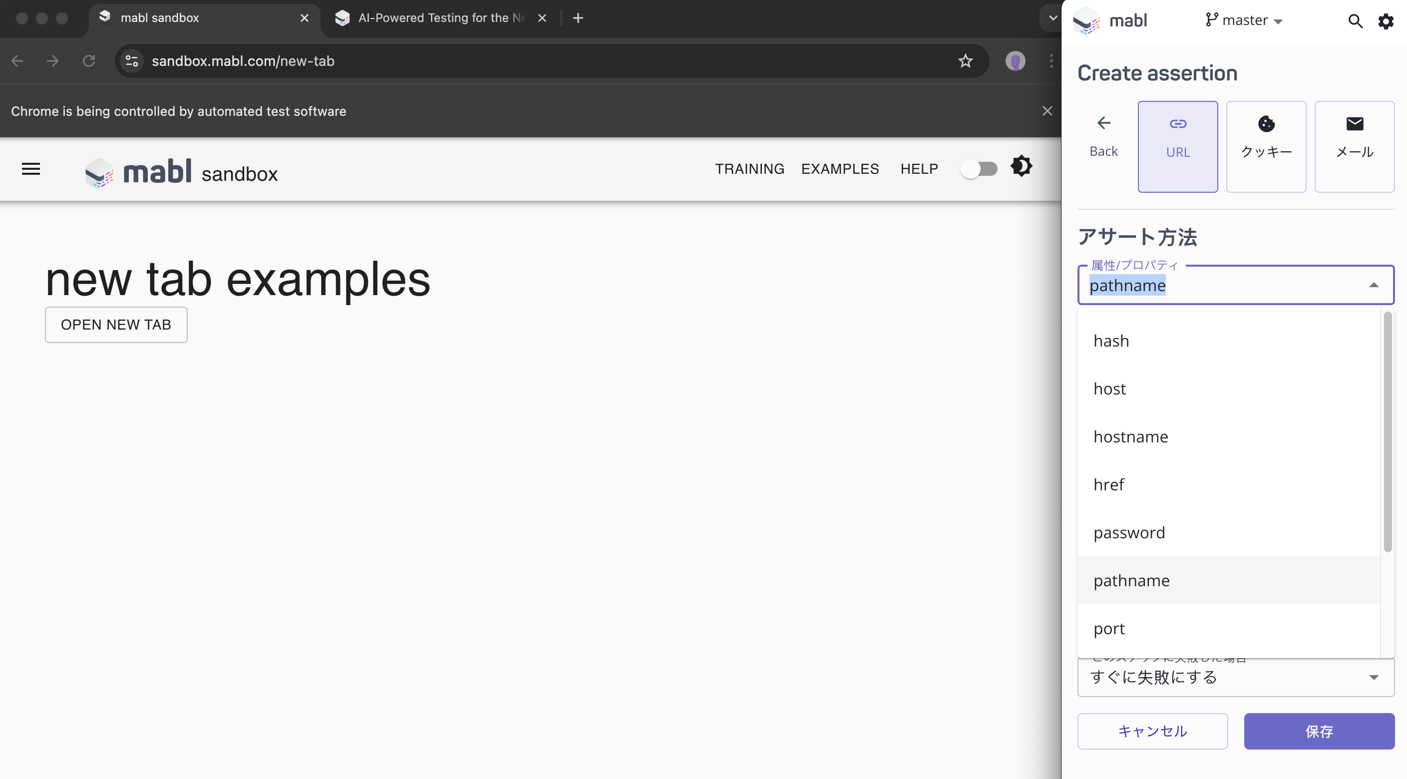 URLアサーションの設定