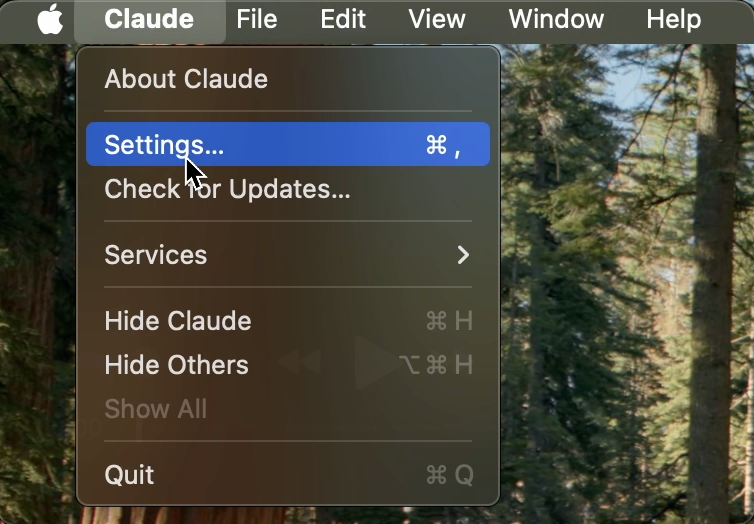 claude_settings.png