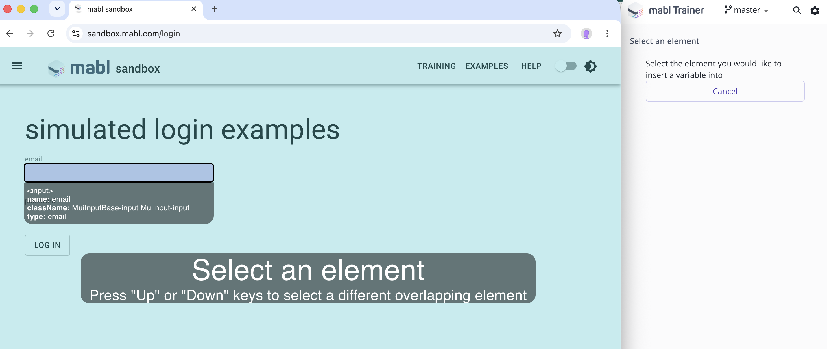 Using a variable in an input field
