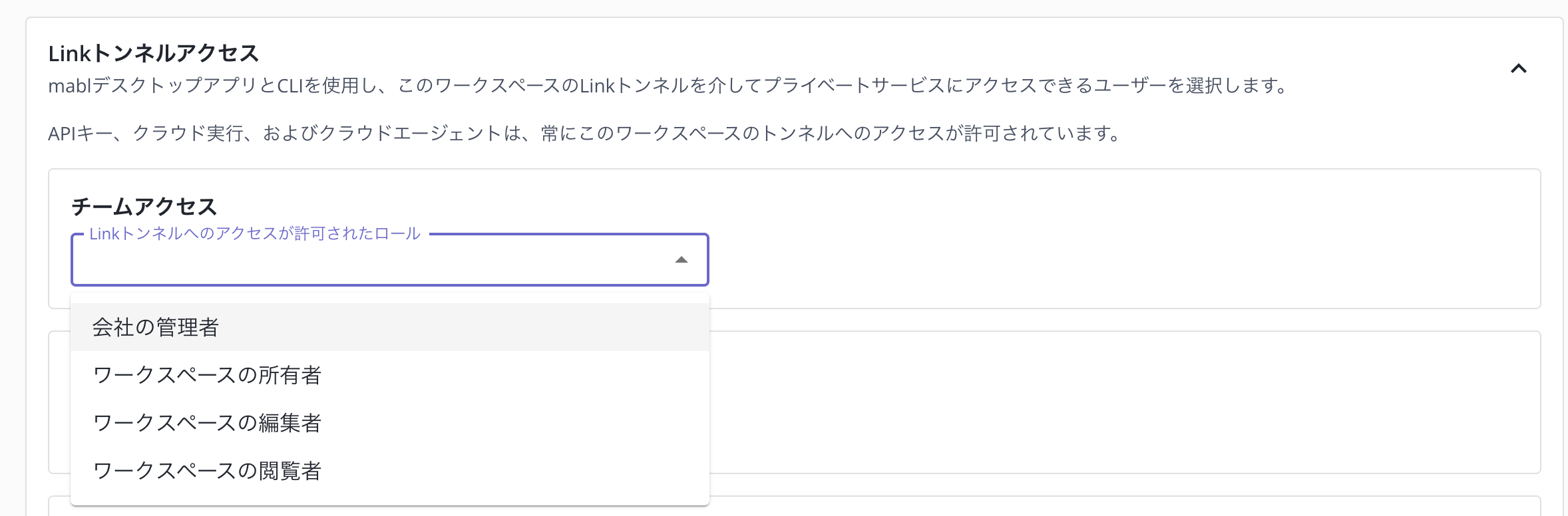 Settings > NetworkingのLinkトンネルアクセス設定。Linkトンネルへのアクセスが許可されたロールでワークスペースの所有者が選択されている